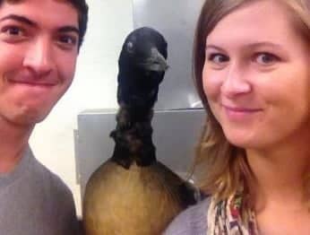 Rocky and a friend beside a large bird in 2013