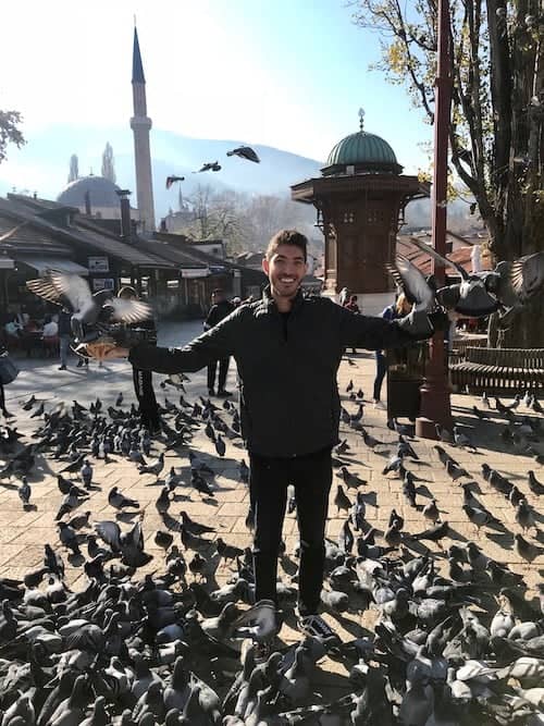 Rocky surrounded by pigeons in Sarajevo