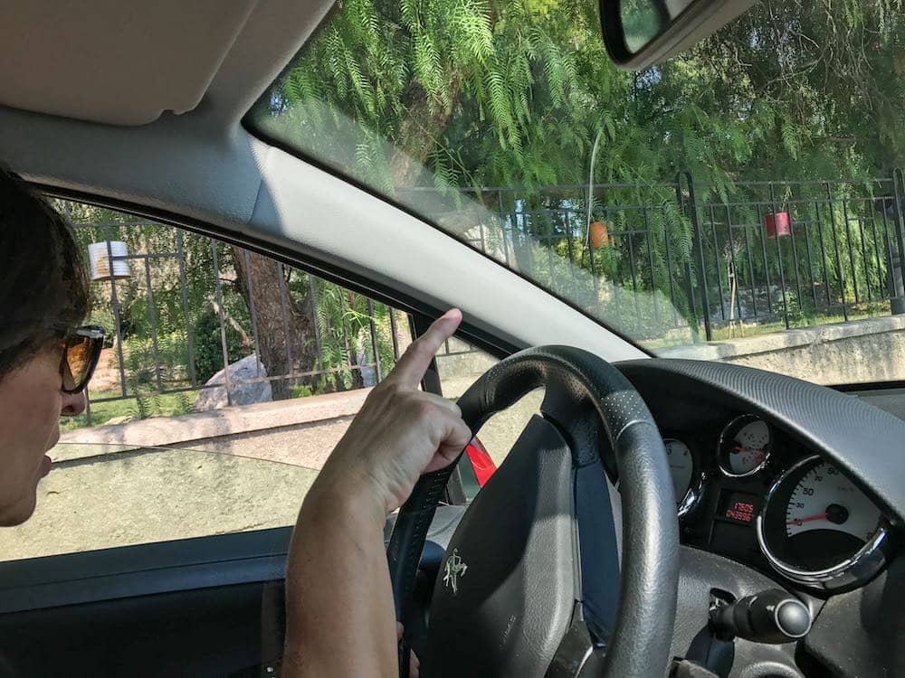 Driving to see the Zadar Sphinx.