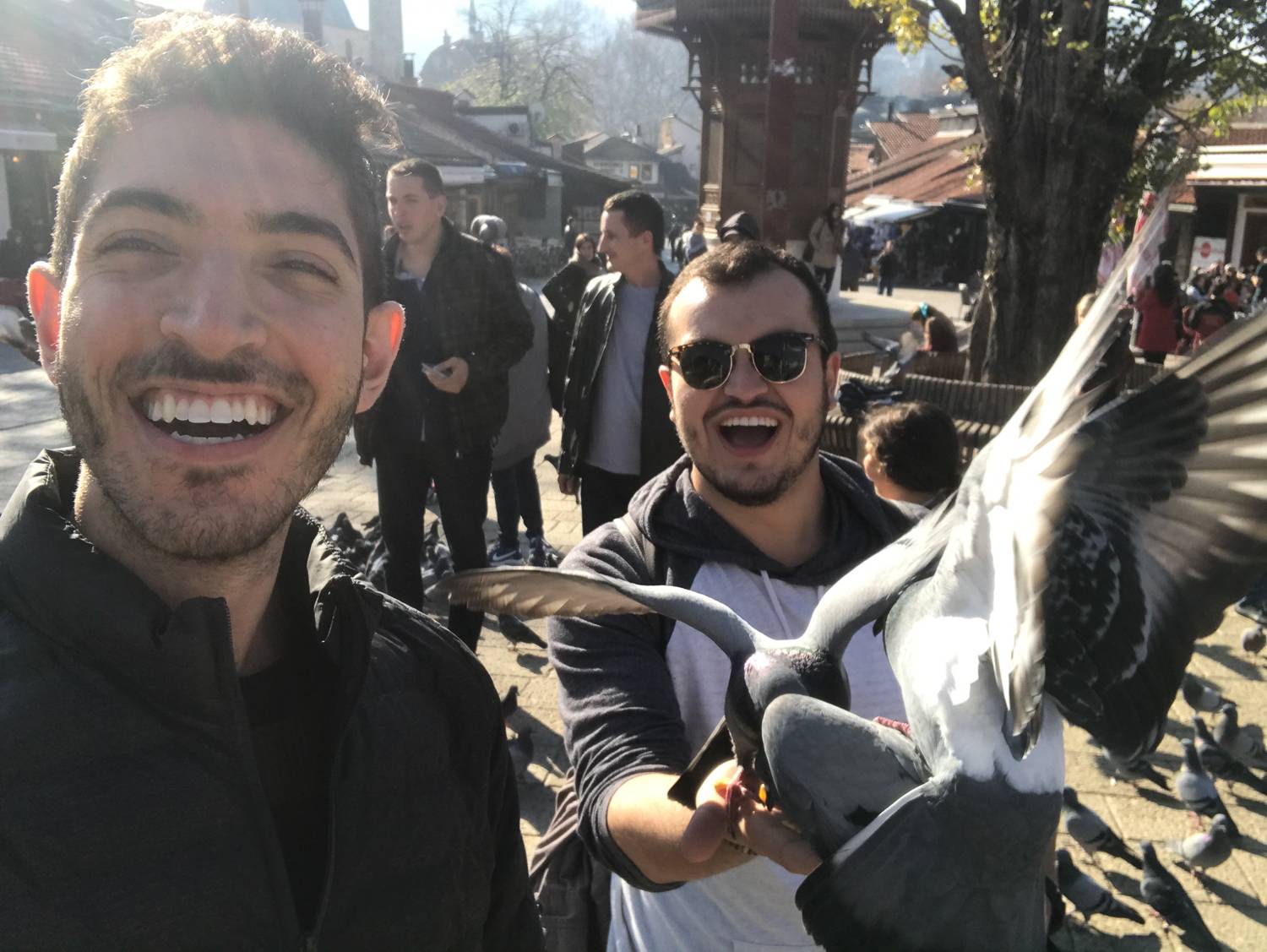 Rocky and a fellow backpacker laughing as pigeons gather around them in Sarajevo.