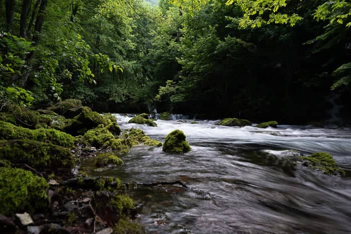 From Rocky’s travels in Kosovo