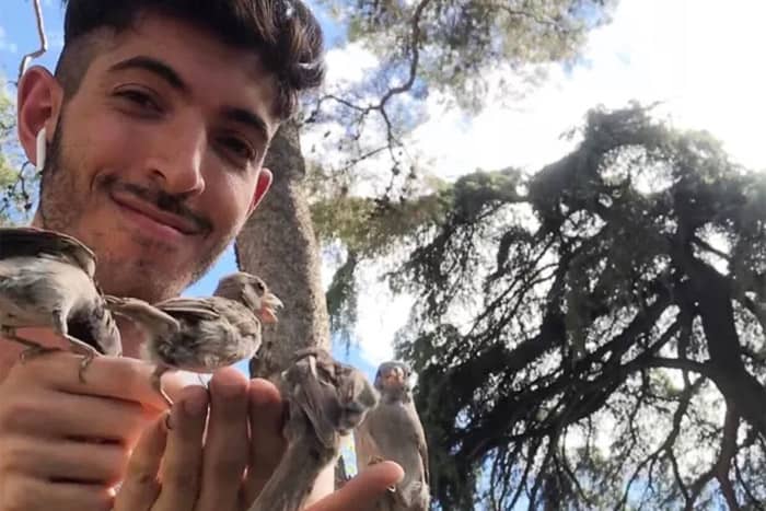 Rocky holding small birds in Spain