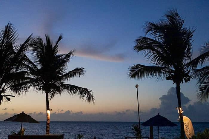 Palm trees over turquoise water in Turks and Caicos