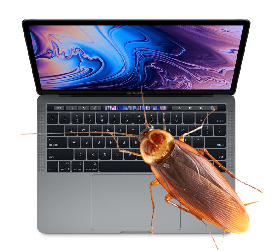 The cockroach on my laptop