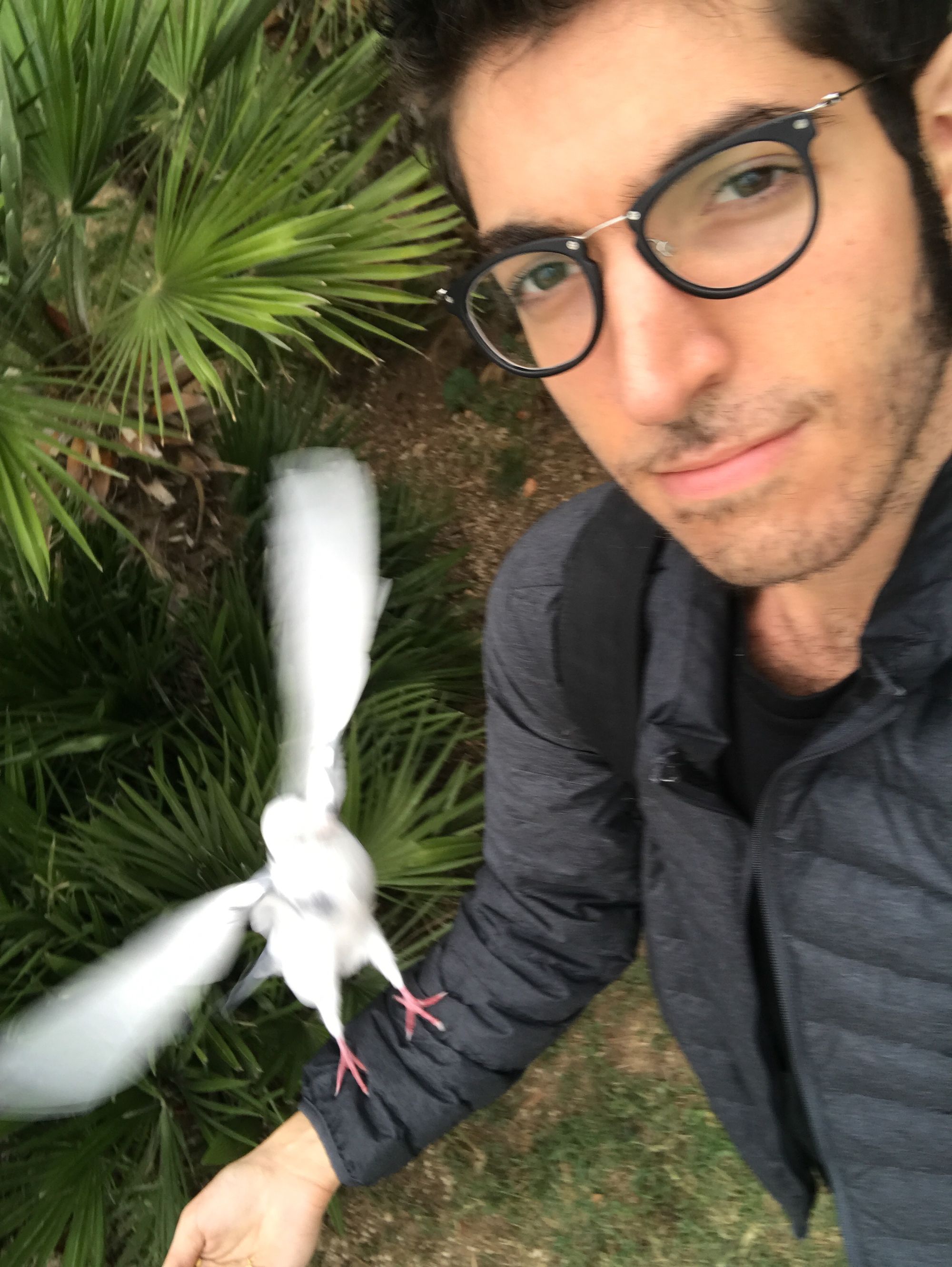 Rocky holding a pigeon