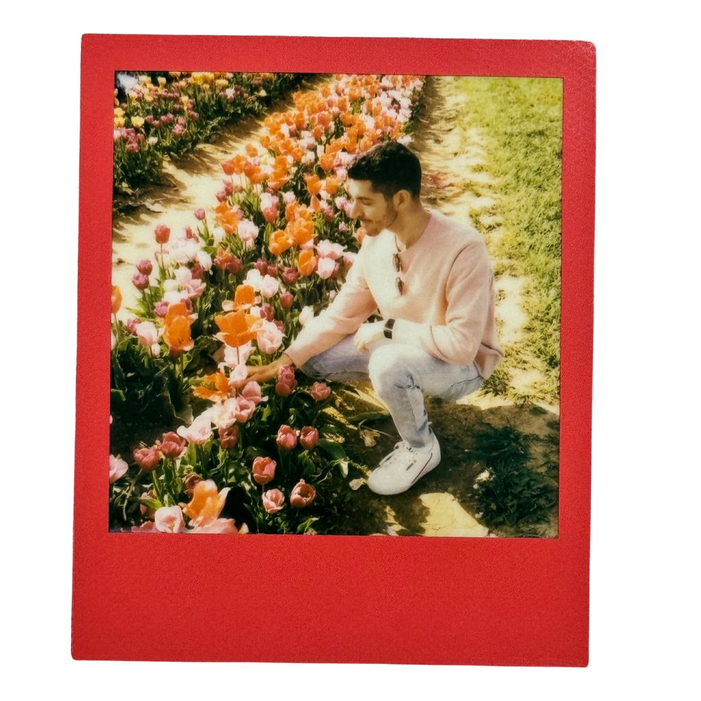 Polaroid 2