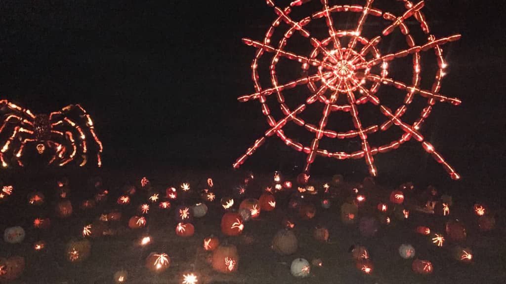 I visited the Great Jack O'Lantern Blaze in 2015