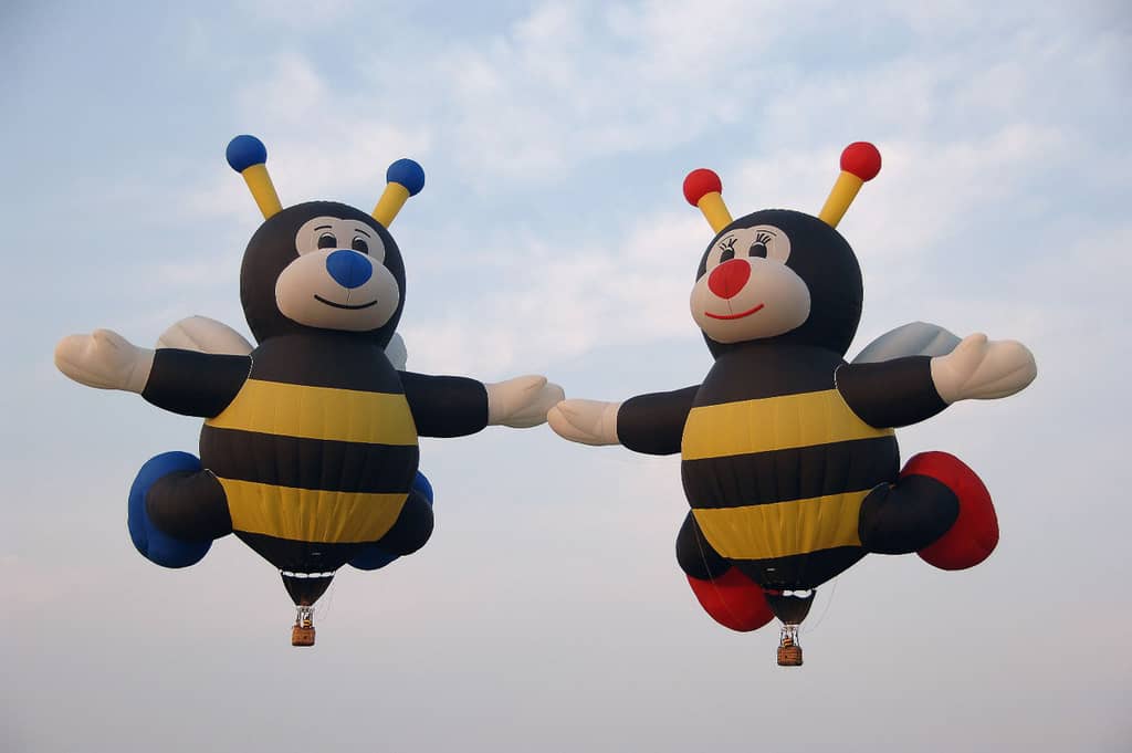 Bee balloons