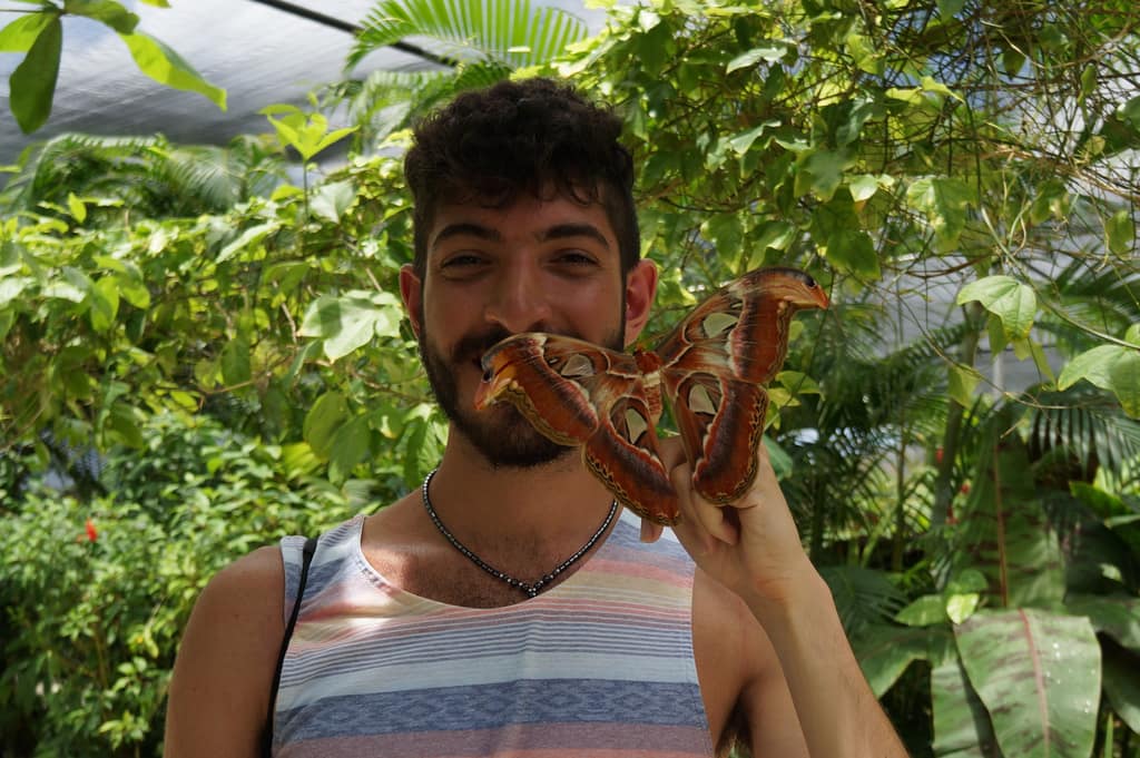 Holding the world s largest moth, and being held back