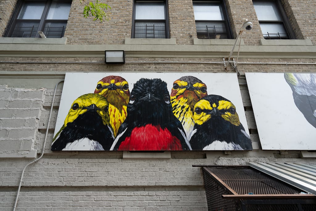 Gang of Warblers by George Boorujy