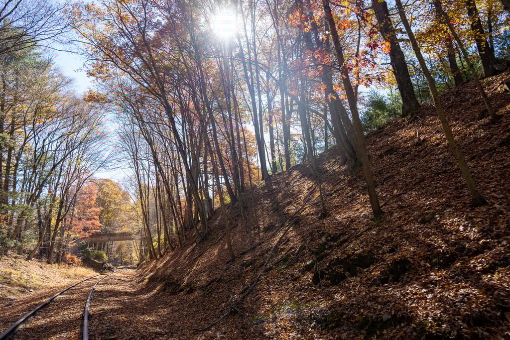 Pennsylvania Rail Bike in autumn