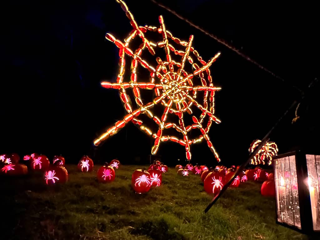 Spider at the Great Jack O'Lantern Blaze