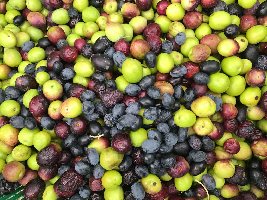 Olives are packed with antioxidants and polyphenols 