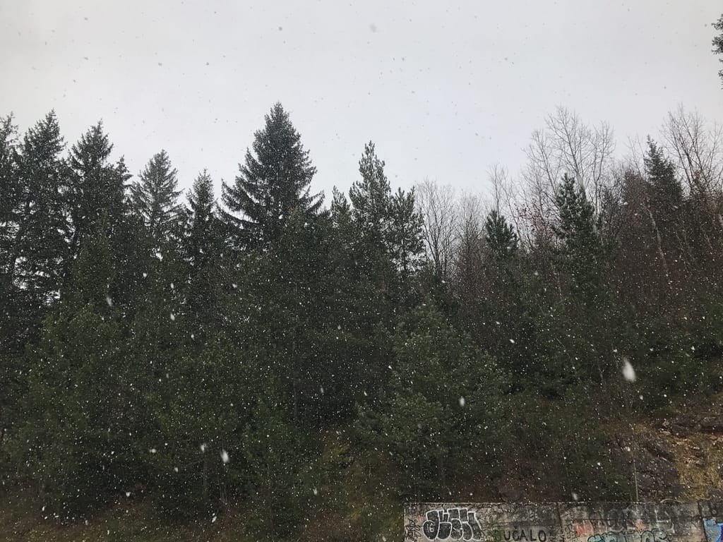 Snowing while touring the bobsleigh tracks