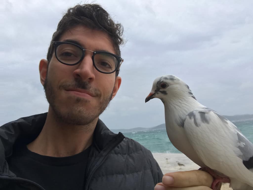 Rocky with a white pigeon beside him near the end of the trip