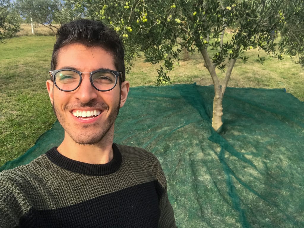 Rocky standing in front of an olive tree