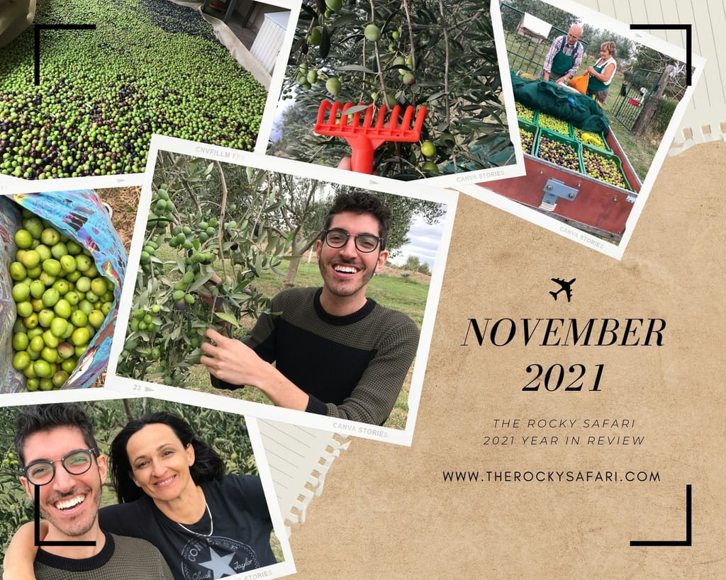 November 2021