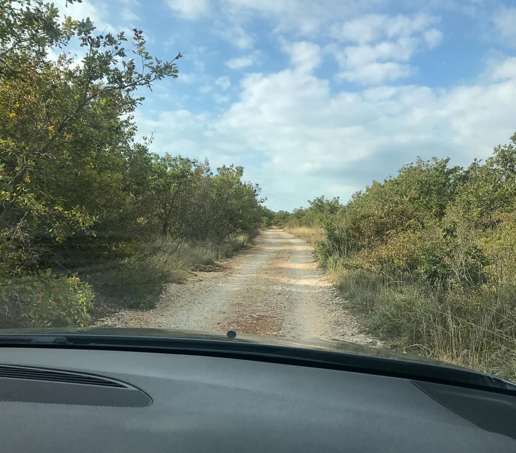 A dirt track through the countryside seen from a car
