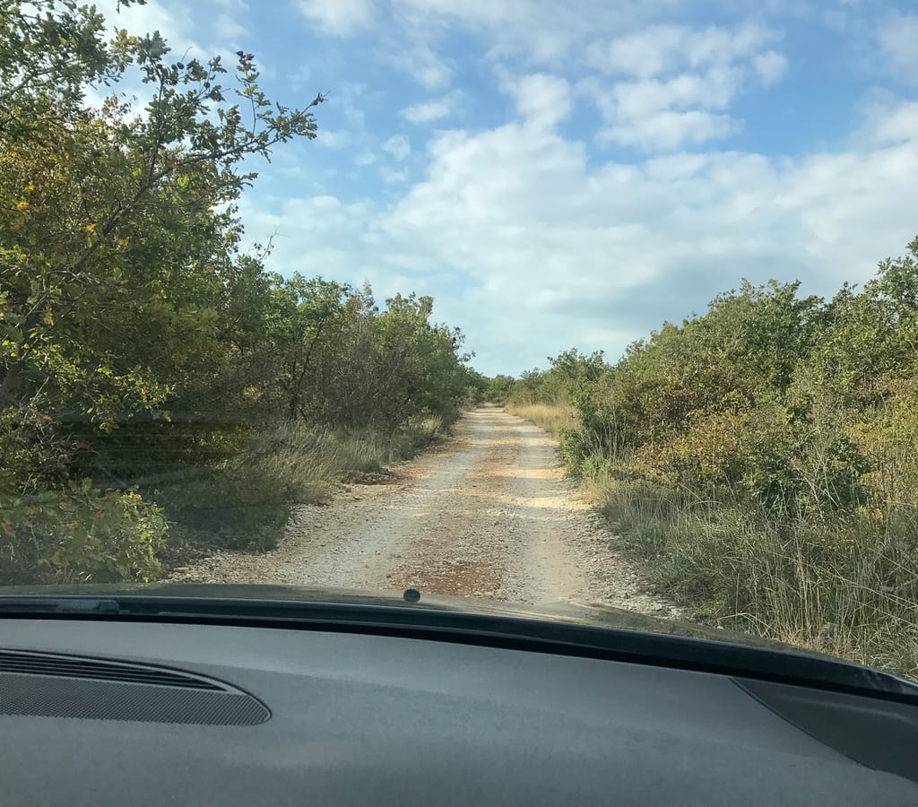 The olive grove was in a remote part of Zadar