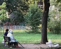 An empty bench under trees in a quiet Warsaw park