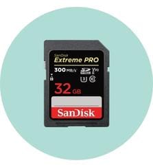 SD Memory Card