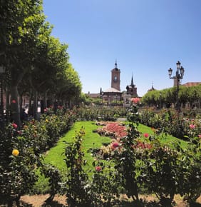 Taking a Day Trip from Madrid to Alcalá de Henares