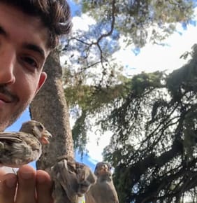 The House Sparrows I Hand Tamed and Bonded With In Madrid, Spain