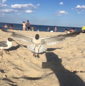 Kickin’ Back at the Jersey Shore