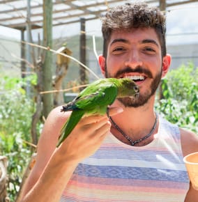 Feeding Birds at Saint Martin’s Parrotte-Ville Bird Park