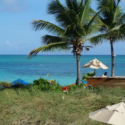 Palms and a thatched umbrella on the grass above a turquoise bay