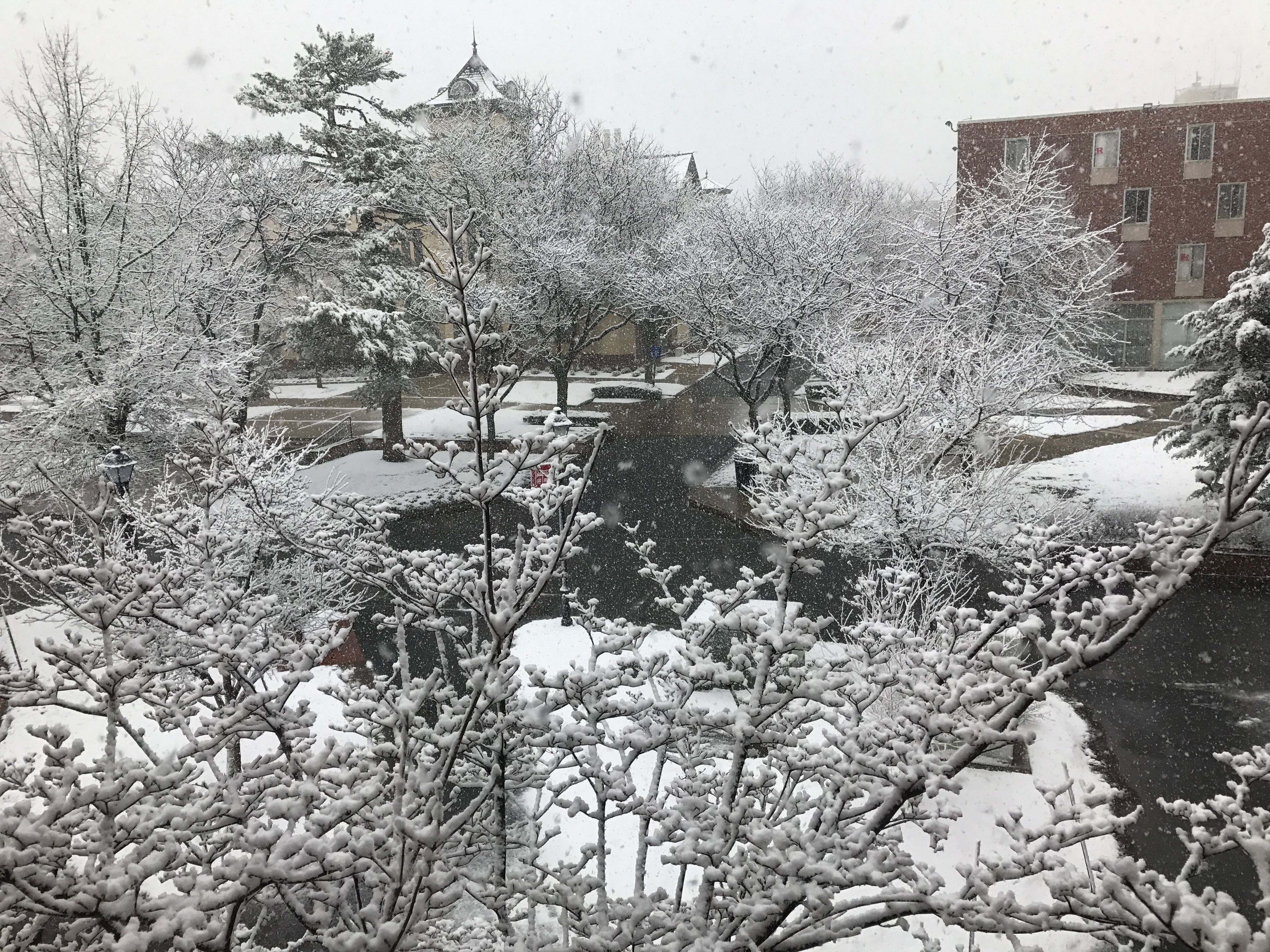 snow during spring break