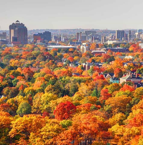 Is Connecticut Worth Visiting? What Surprised Me About Exploring the State 🐻