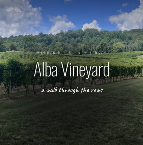 Review of Alba Vineyard in Warren County, New Jersey