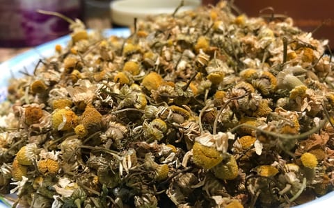 Adagio chamomile tea