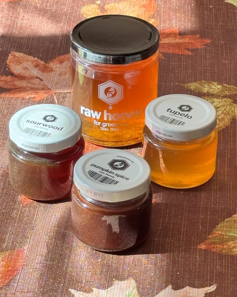 The Adagio sampler jars, tupelo glowing gold next to darker sourwood and pumpkin spice