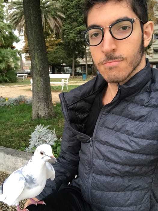 Jesse perched on Rocky’s hand on a bench in Zadar