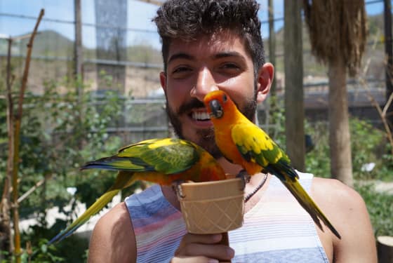 Two of them decided the cup was worth the risk.