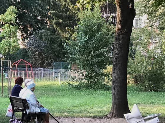 An empty bench under trees in a quiet Warsaw park