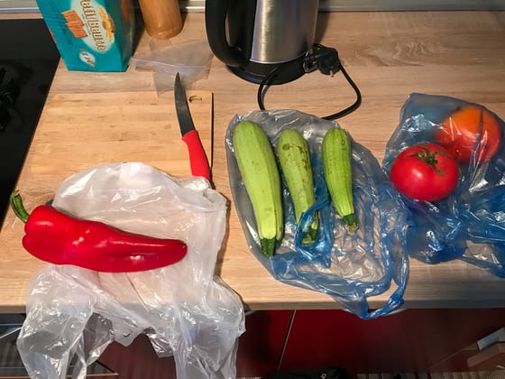 Sauteed vegetables being prepared for lunch in the Sarajevo flat