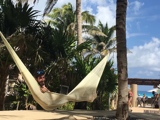 Palm trees and hammocks on the resort lawn in Cancun