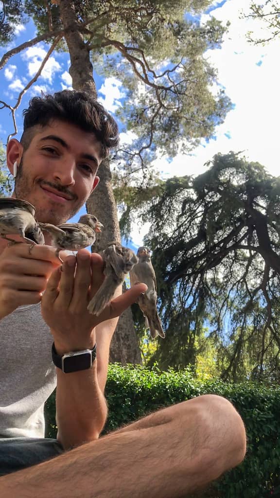 Rocky holding sparrows in Spain