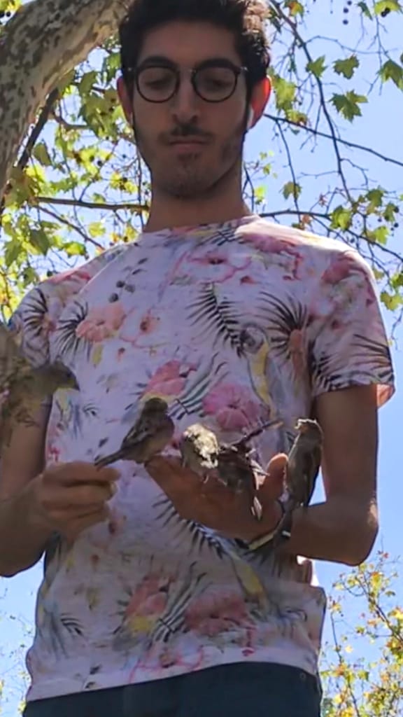 Wearing my bird shirt with sparrows