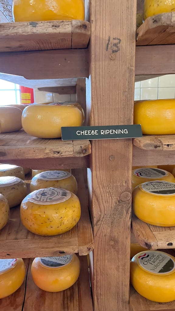 Cheese ripening