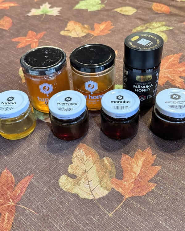 A lineup of Adagio honey jars including the bigger tupelo jar, with a Comvita Manuka jar behind them