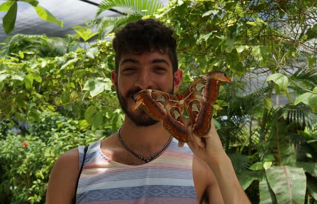 Saint Martin s Butterfly Garden Is the Most Peaceful Place on Earth