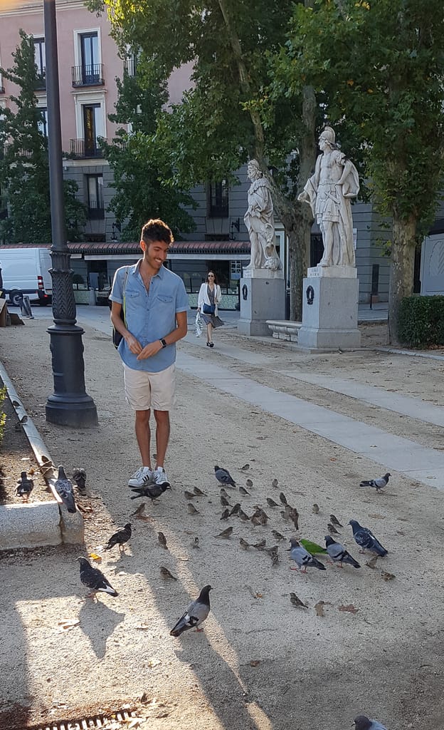 Rocky feeding wild birds