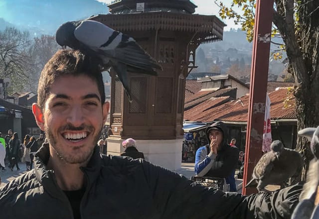 I Traveled 13 Hours By Bus to Visit Pigeons In Another Country