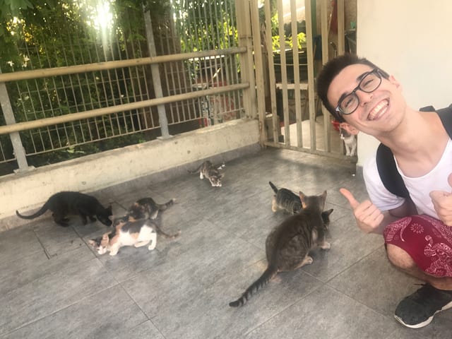 This was the first cat that we fed in Athens. He was spotted a few streets away from Syntagma Square.