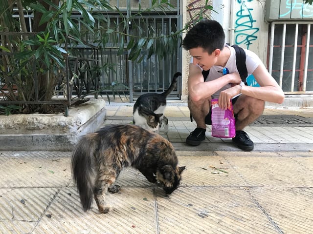 I’ll miss the cats of Athens.