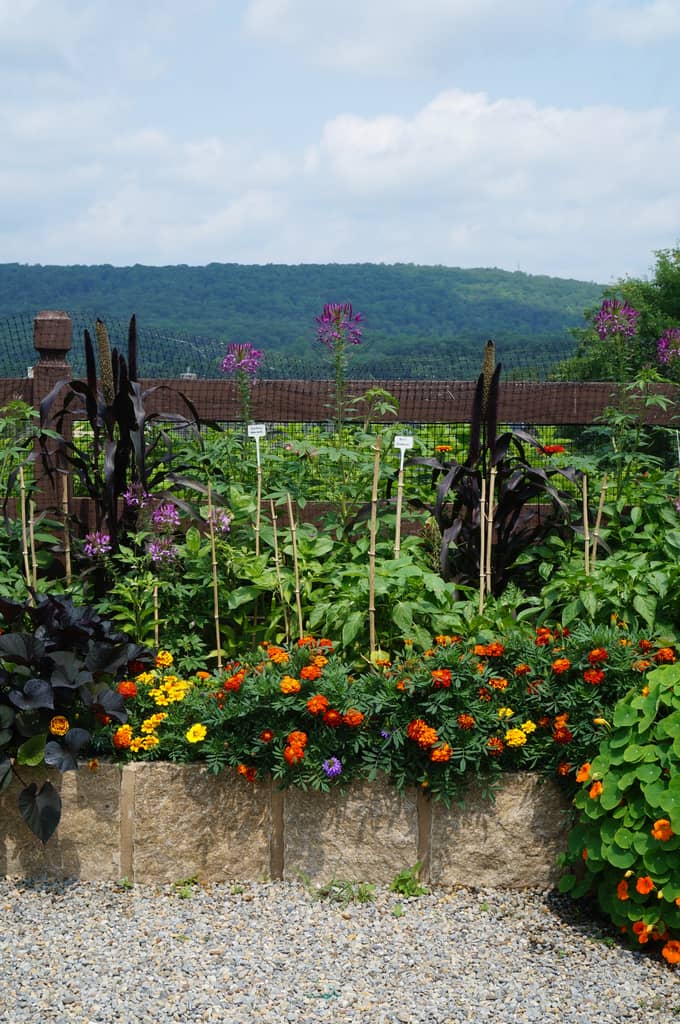 Chefs Garden